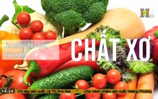 Cách bổ sung chất xơ vào chế độ ăn