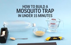 Cách làm bẫy muỗi đơn giản cho ngày hè không lo muỗi đốt