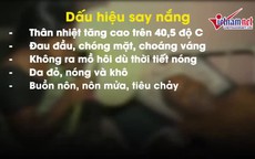 Mẹo phòng chống đột quỵ do say nắng