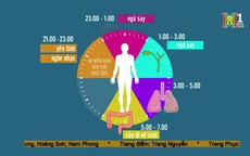Đồng hồ sinh học của cơ thể hoạt động như thế nào?