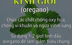 5 loại thảo mộc tiêu đờm, làm sạch phổi tự nhiên