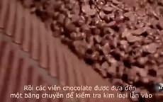 Hành trình biến hạt ca cao thành món chocolate vạn người mê