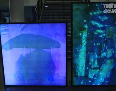 Triển lãm "Công cộng, riêng tư, thầm kín" về Hà Nội