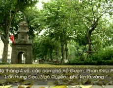 Hà Nội đẹp xao xuyến mùa lá sấu rụng