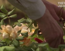 Tận mắt chiêm ngưỡng khu vườn thượng uyển của Hoàng gia Anh 