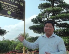 Đồng Tháp : Cặp kiểng vạn niên tùng xác lập kỷ lục Việt Nam