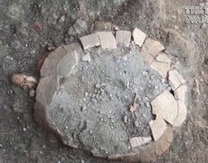 Phát hiện hóa thạch rùa cổ đại 2000 năm tuổi ở Pompeii