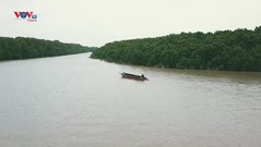 Cù lao Dung - Hòn đảo xanh trên sông Hậu
