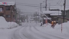 Mỹ, Nhật Bản: Bão tuyết hoành hành hàng chục người thiệt mạng