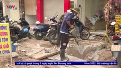 TP. Hồ Chí Minh cấm đào đường trong dịp Tết Quý Mão
