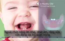 Con người mọc răng và thay răng như thế nào?