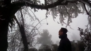 Những người trẻ bỏ phố về quê...
