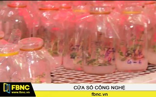 Nông dân Cần Thơ chế tạo máy làm giá tự động