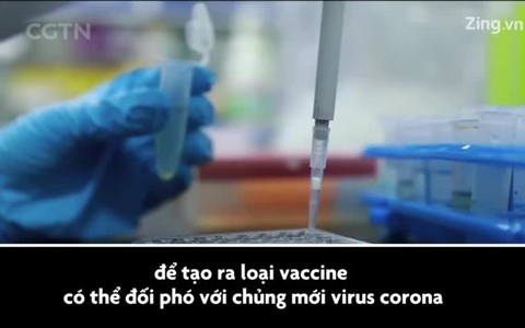 Thử nghiệm vaccine chống virus corona