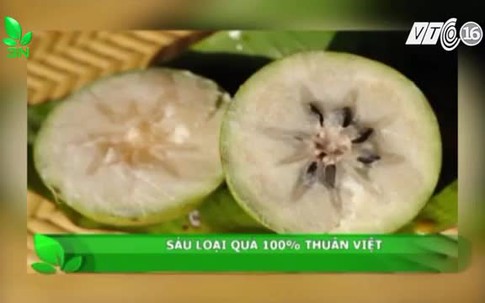 Sáu loại quả 100% thuần Việt