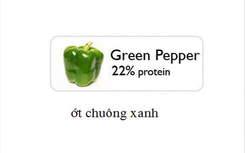 Top 10 rau xanh giàu protein