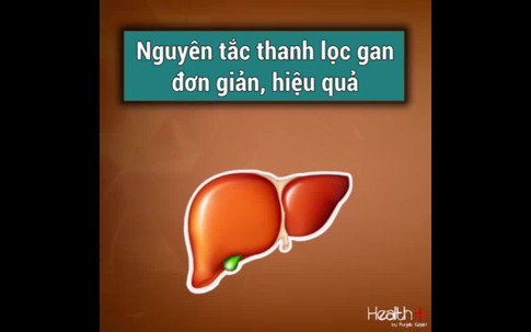 Nguyên tắc bảo vệ, thanh lọc gan hiệu quả