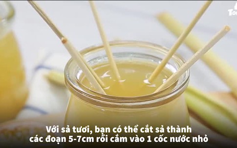 Cách diệt côn trùng hiệu quả mà an toàn