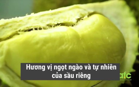 5 bước bóc vỏ sầu riêng siêu đơn giản, không bị gai đâm