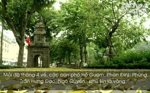 Hà Nội đẹp xao xuyến mùa lá sấu rụng