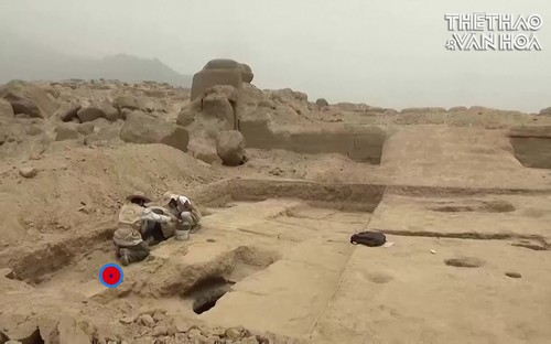 Phát hiện xác ướp hơn 800 năm tuổi ở Peru