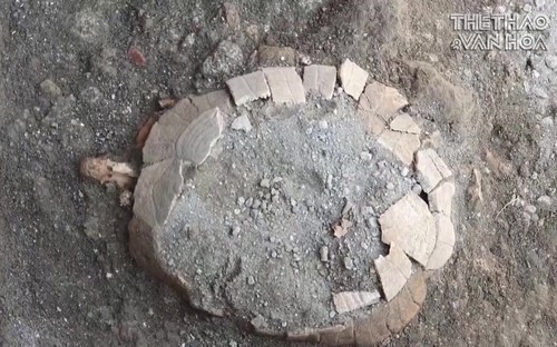 Phát hiện hóa thạch rùa cổ đại 2000 năm tuổi ở Pompeii