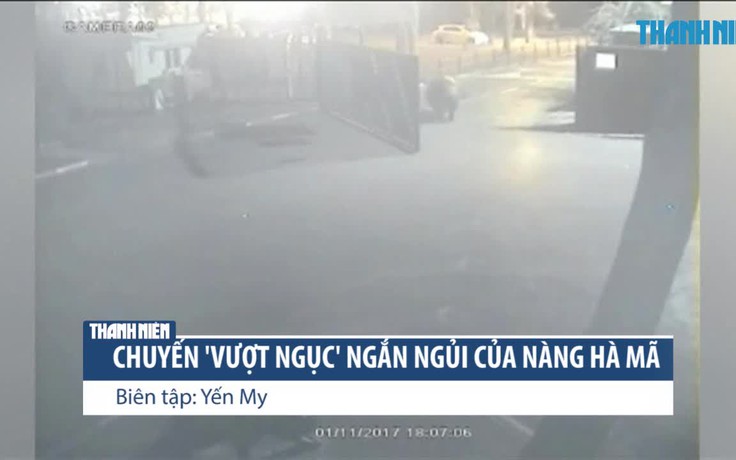 Chuyến 'vượt ngục' ngắn ngủi của cô nàng hà mã