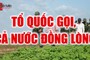 MỖI TUẦN MỘT CHUYỆN (Số thứ 52): Đồng lòng sẽ sớm đẩy lùi đại dịch